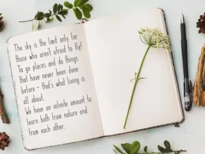 paper daisy font 3