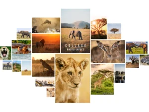 photo collage frame effect mockup 3