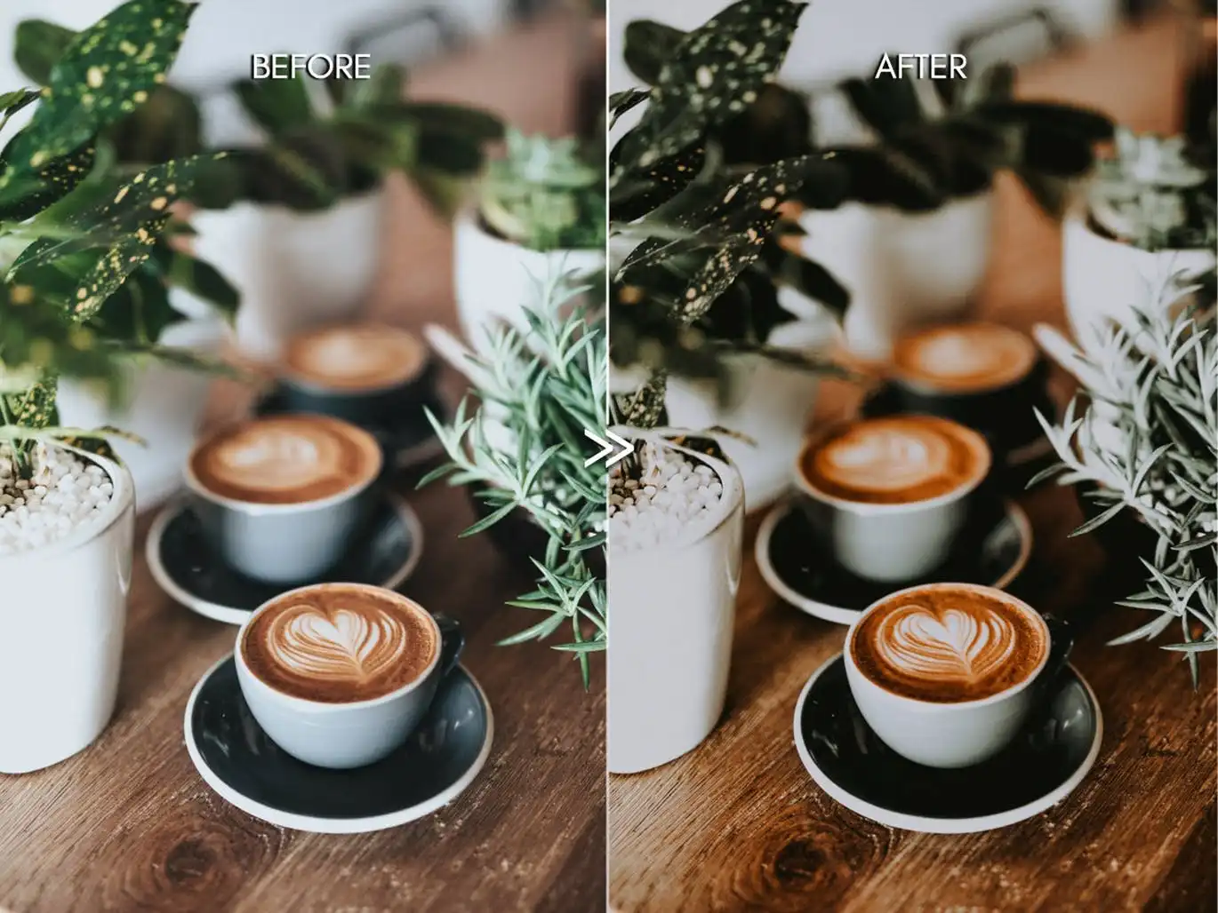 Pine Warm Moody Outdoor Wedding Lightroom Presets 4 pine warm moody outdoor wedding lightroom presets 3