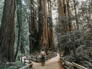 pine warm moody outdoor wedding lightroom presets 5