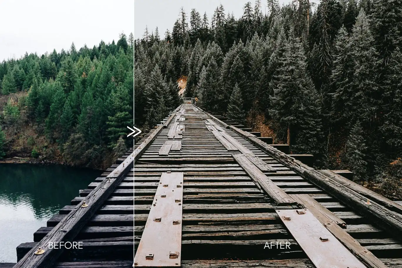 Pine Warm Moody Outdoor Wedding Lightroom Presets 5 pine warm moody outdoor wedding lightroom presets 6