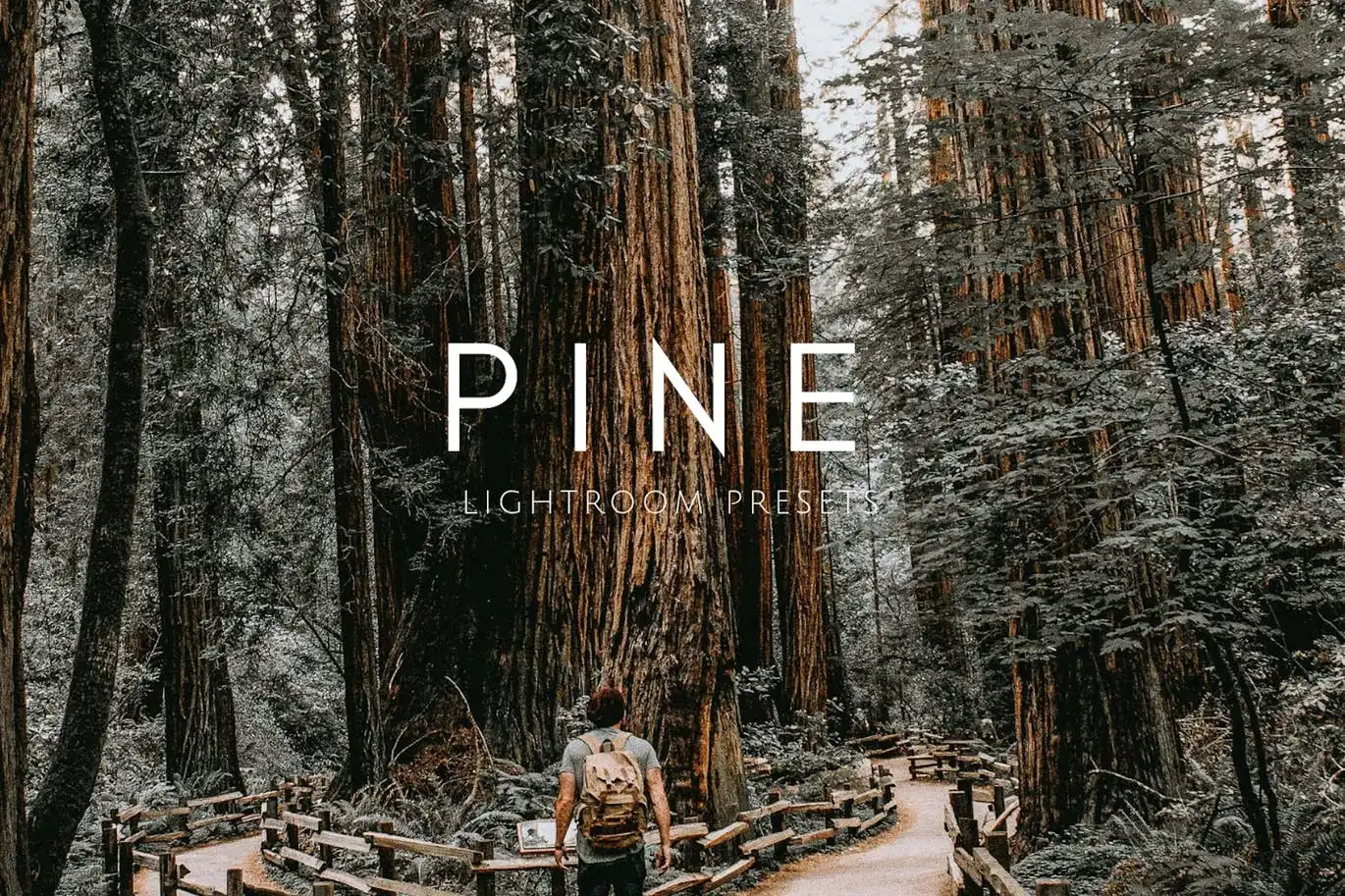 Pine Warm Moody Outdoor Wedding Lightroom Presets 3 pine warm moody outdoor wedding lightroom presets 9