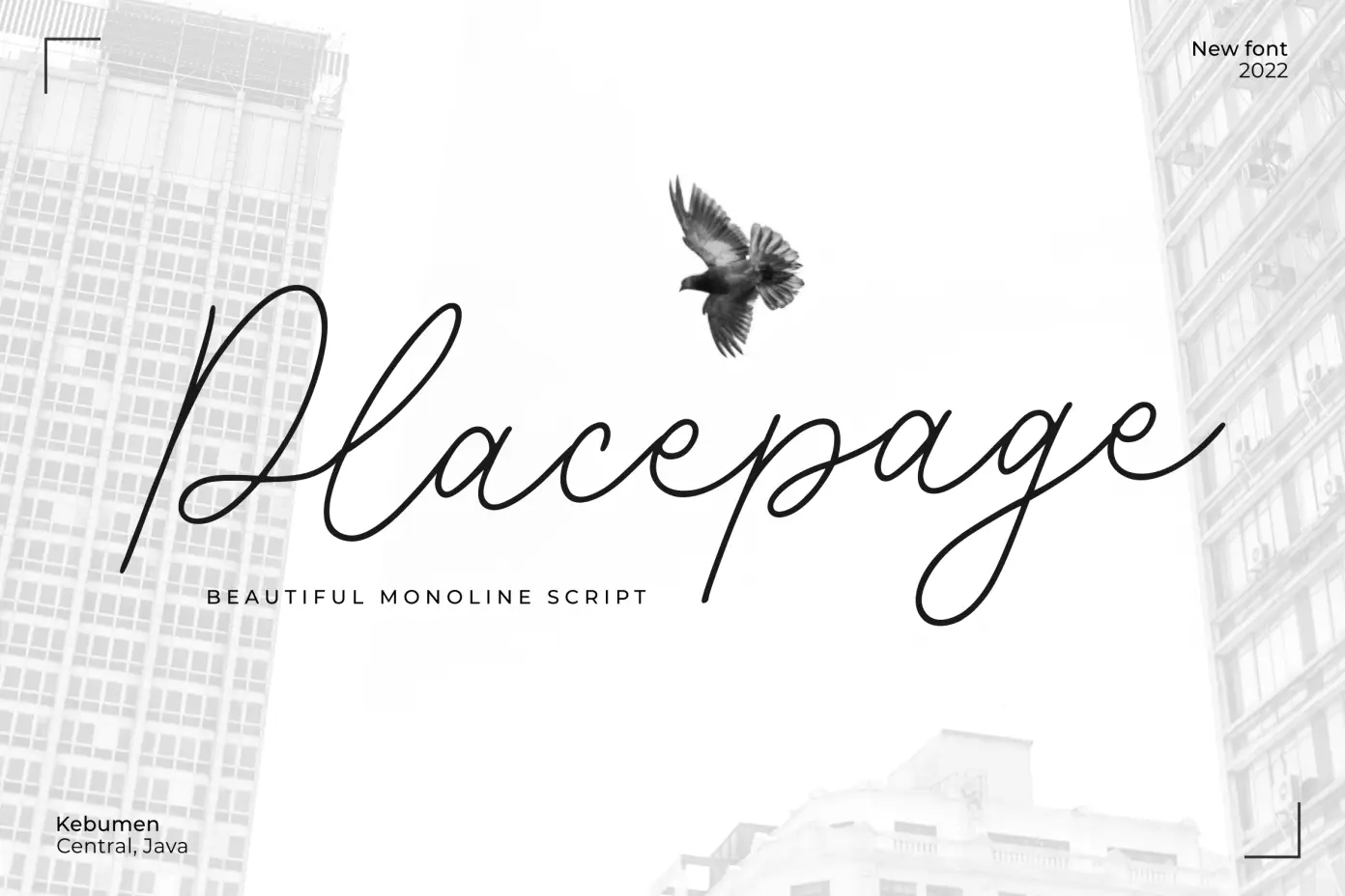 Placepage Handwritten Font 3 placepage handwritten font
