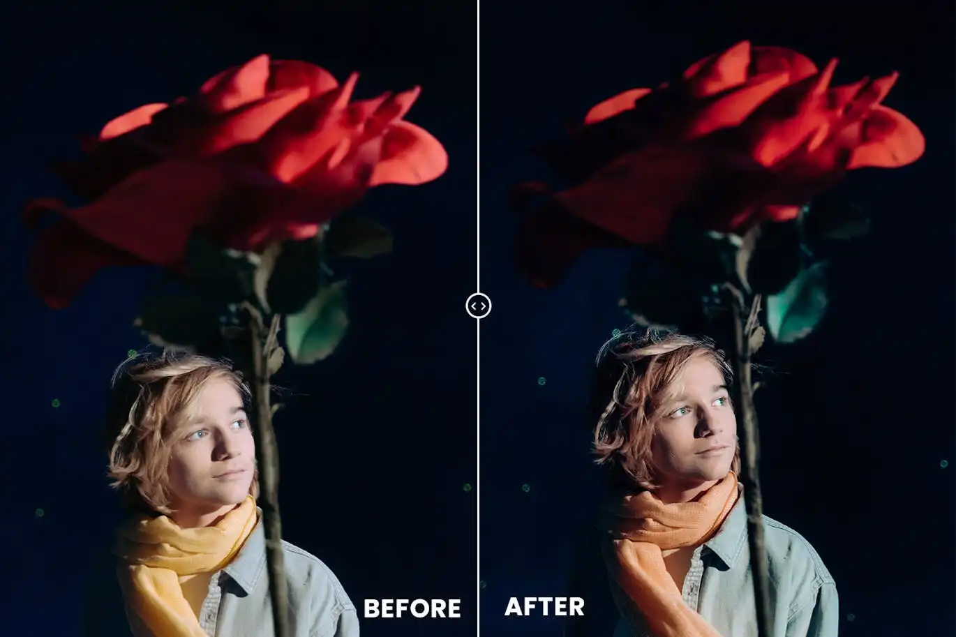 Prune Tones Action & Lightroom Preset