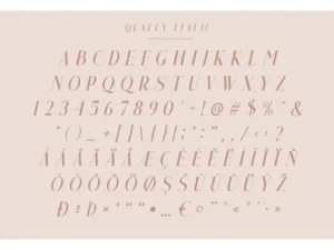 qualey elegant serif font c craft supply co 5
