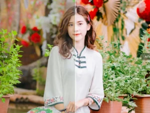 quesnelia mobile desktop lightroom presets 6