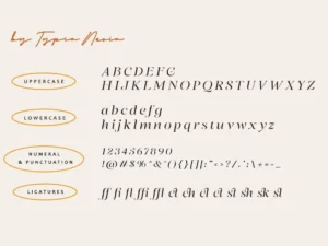 quindove stencil serif 5