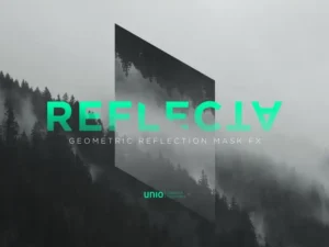reflecta 7