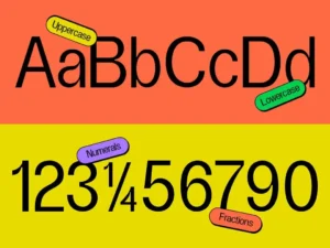 renaisans grotesk sans serif display typeface 4