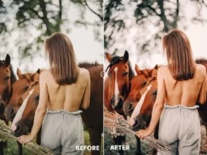 retro tones action lightroom preset