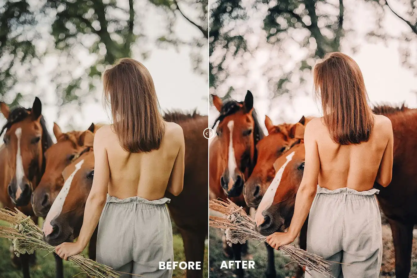 Retro Tones Action & Lightroom Preset