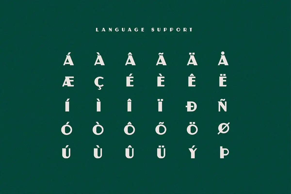 Reuben-A Vintage Display Font 3 reuben a vintage display font 4