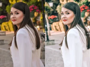 rufous mobile desktop lightroom presets