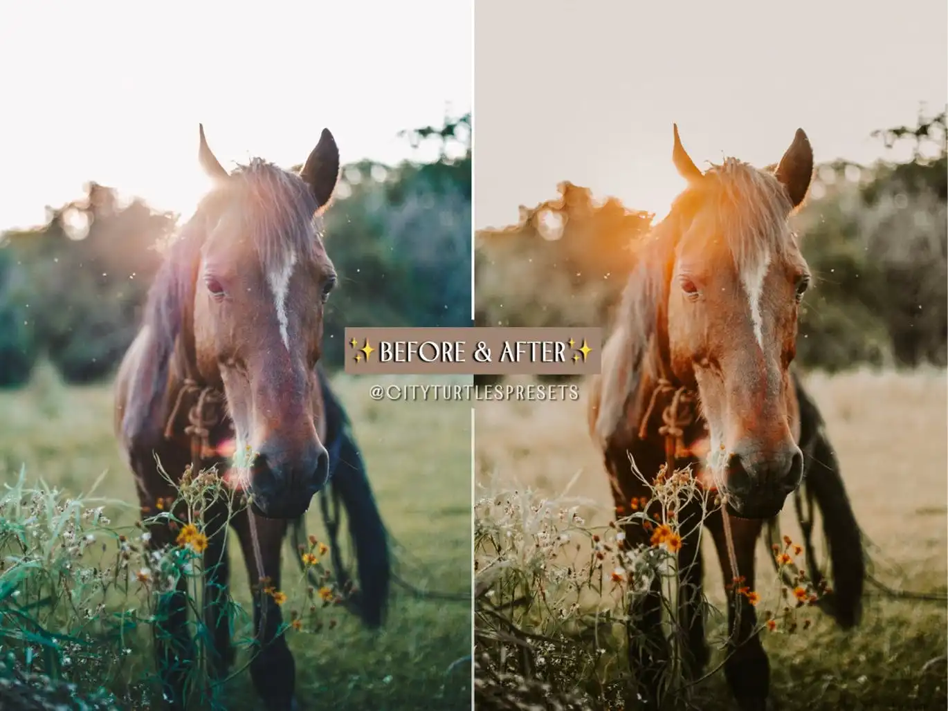 Rustic Fall Moody Warm Lightroom Presets 9 rustic fall moody warm lightroom presets 7