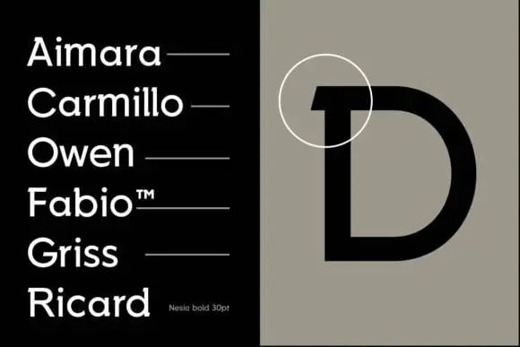Ryan Vierra Nesia Sans Font