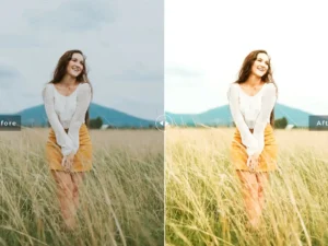 rye mobile desktop lightroom presets 3
