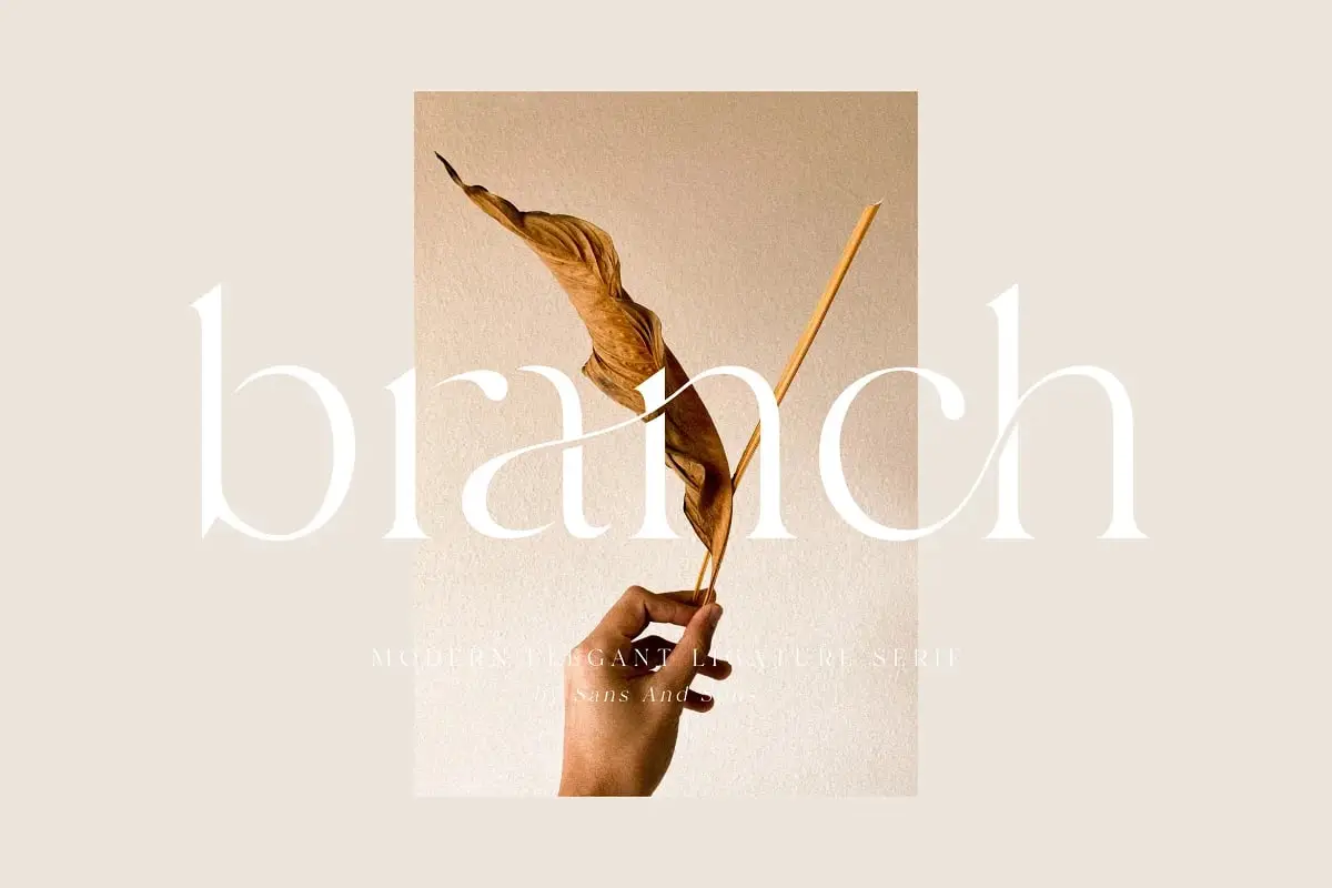 Sans & Sons-Branch Modern Ligature Serif 4 sans sons branch modern ligature serif