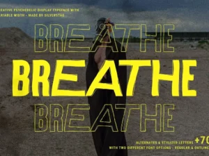 savigny psychedelic display font 4