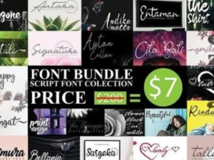 script font collection 20 premium fonts bundle
