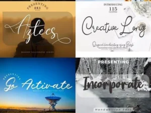 script font collection bundle 20 fonts