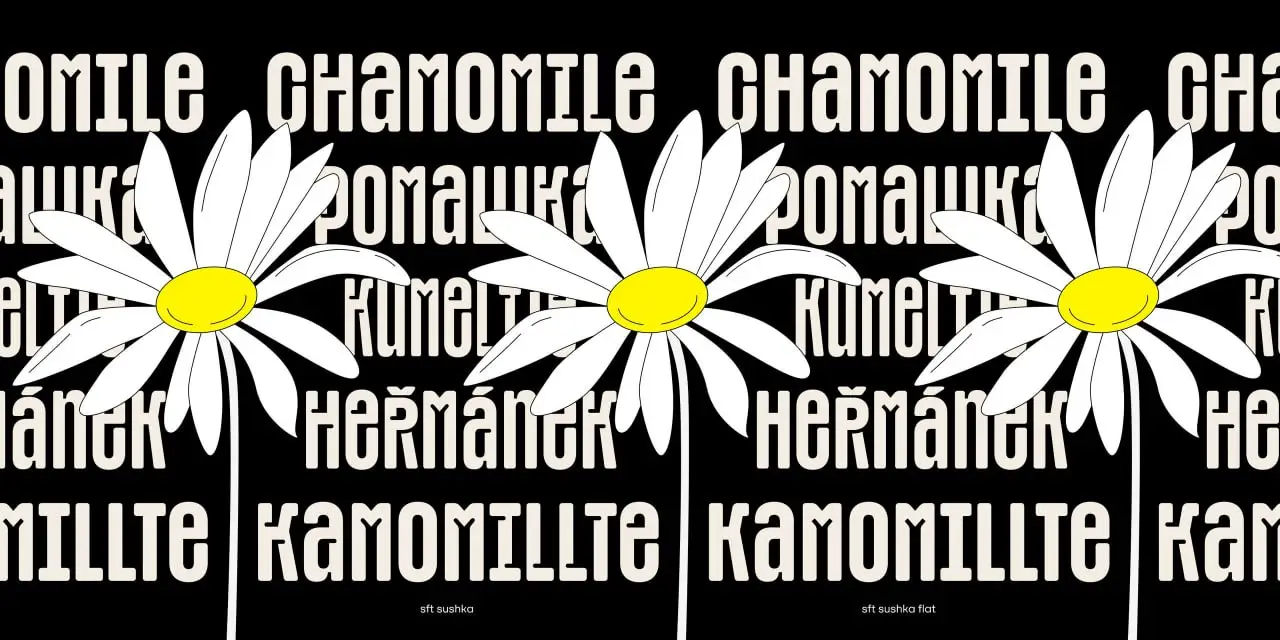 Sft Sushka Font Cyrillic Free Trial By Yulia Gonina 3 sft sushka font cyrillic free trial by yulia gonina 4