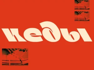 shoebox 6