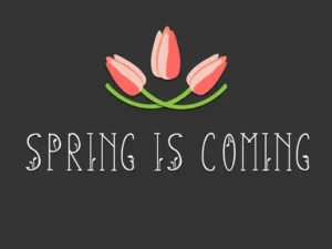 slender spring font 2