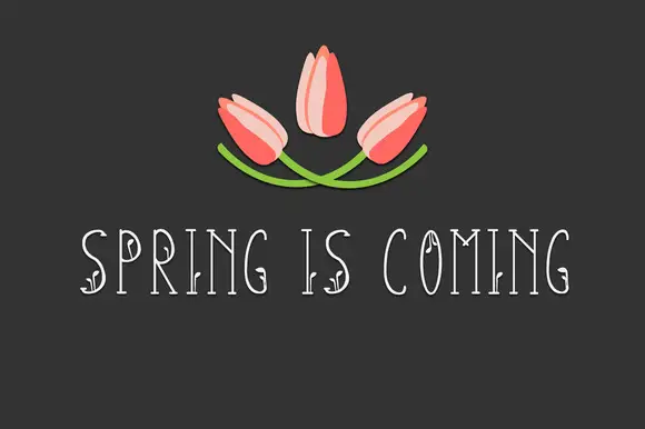 Slender Spring Font