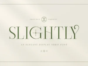 slightly elegant display serif font