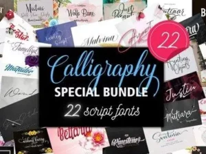 special calligraphy bundle 22 premium fonts 2