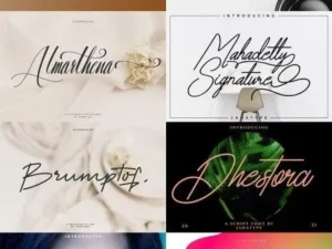 special script font bundle 50 fonts