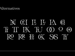 spencetype annex serif display font 3