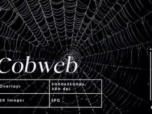 spider cobweb overlays
