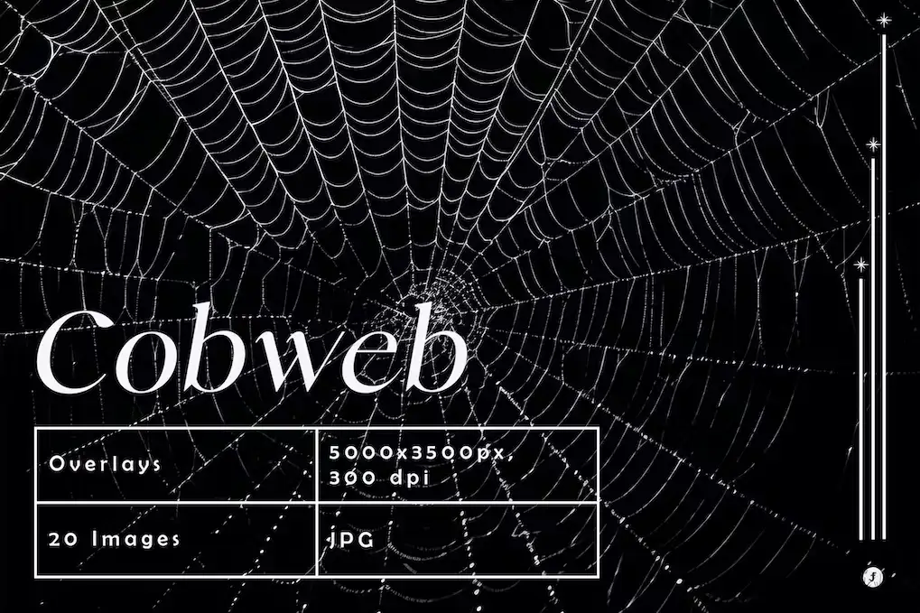 Spider Cobweb Overlays