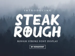 steak rough