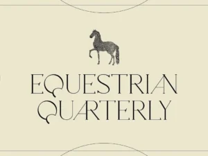 studio aurora oakland decorative display serif 5