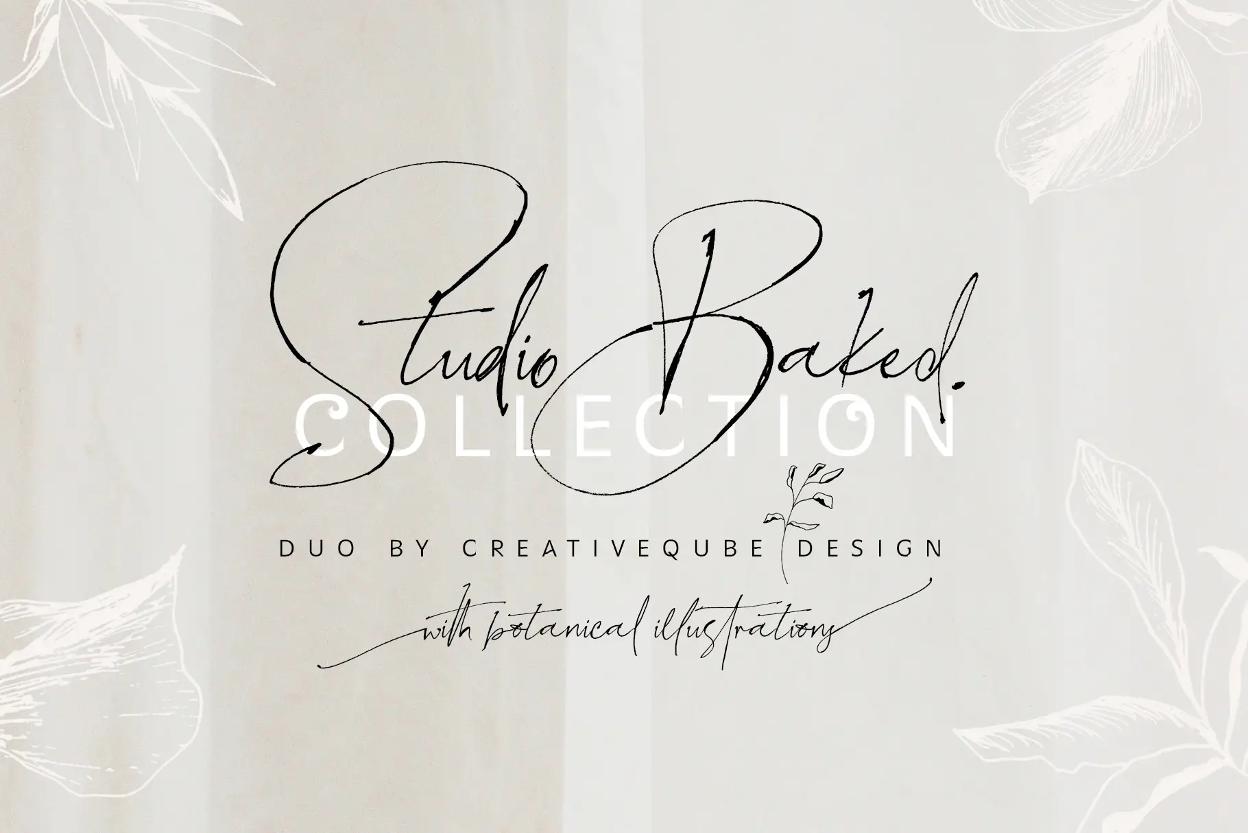 Studio Baked Collection By Creativeqube