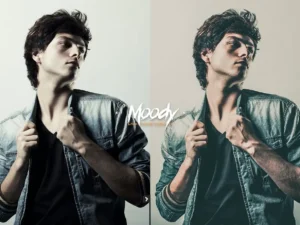 studio moody lightroom preset 4