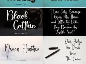 summer bundle 6 premium fonts 4