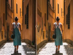 sunny tone action lightrom presets 6