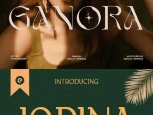 super bundle of 20 display fonts