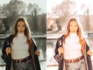 tangelo mobile desktop lightroom presets 6