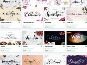 the beauty script bundle 20 fonts