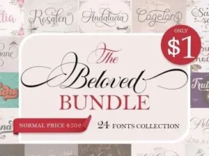the beloved font bundle
