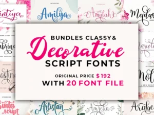 the classy and decorative script font bundle
