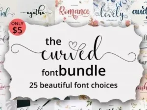 the curved font bundle 25 fonts