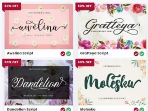 the delightful font bundle 20 premium fonts