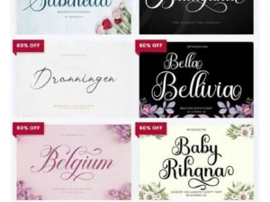 the modern script collection 20 premium fonts