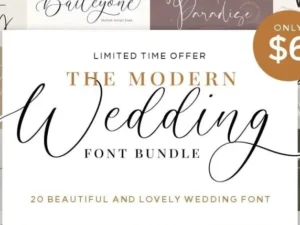 the modern wedding font bundle