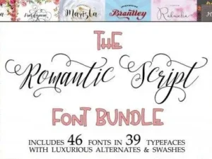 the romantic script font bundle 46 fonts